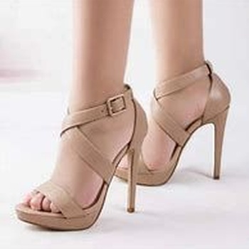 Zapato para vestido